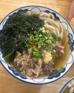 Ichifuji Udon