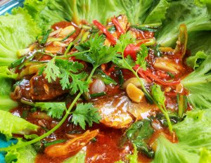 Canned Mackerel spicy stir fried