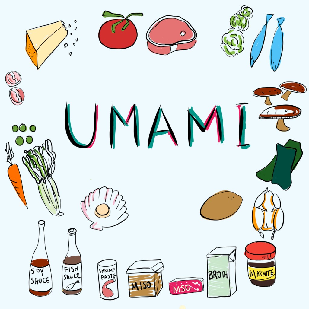 Sucré, Acide, Salé, Amer… et Umami !