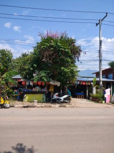 Tui Nui Street food