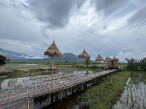 ຮ້ານອາຫານທົ່ງນາສະກາຍ