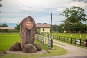 ຮ້ານອາຫານຫົວປາຂໍ້