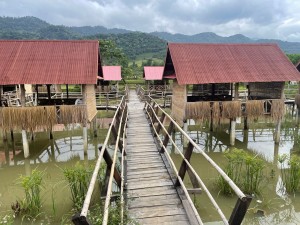 ຮ້ານອາຫານຊ້າງແກ້ວ