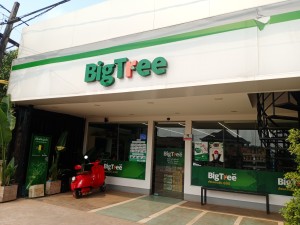 BigTree ສາຂາ ອາມອນ