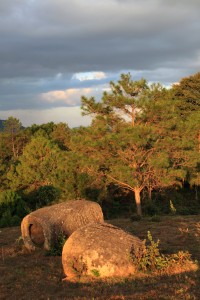 Plain of Jars