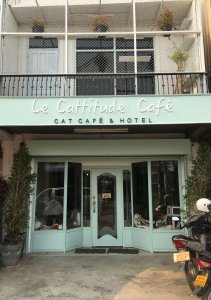 Le Cattitude Café