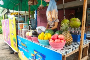 Touny Fruit Shake and Roti