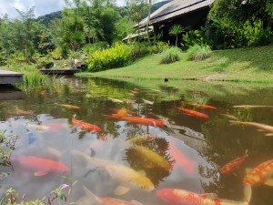 Namkat Yorla Pa Resort