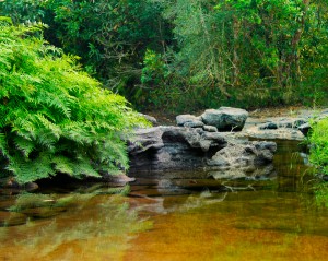 Tad Xay Waterfall