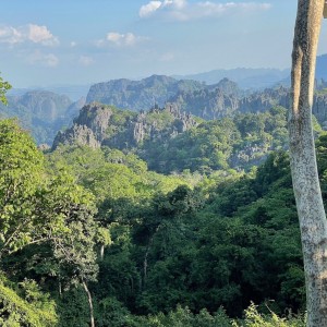 The Rock Viewpoint